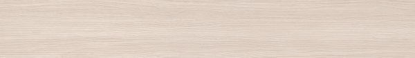 G1060-Senfina--L1060-Senfina