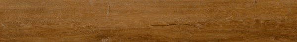G1303-Amaso-L1303-Amaso